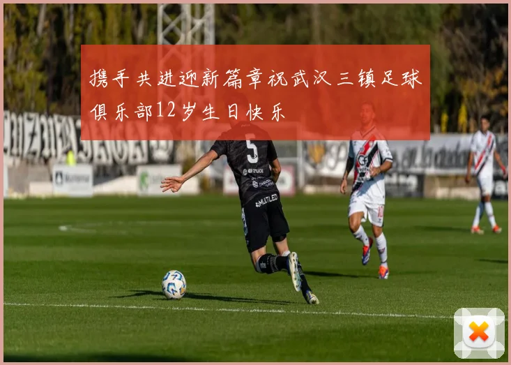 携手共进迎新篇章祝武汉三镇足球俱乐部12岁生日快乐